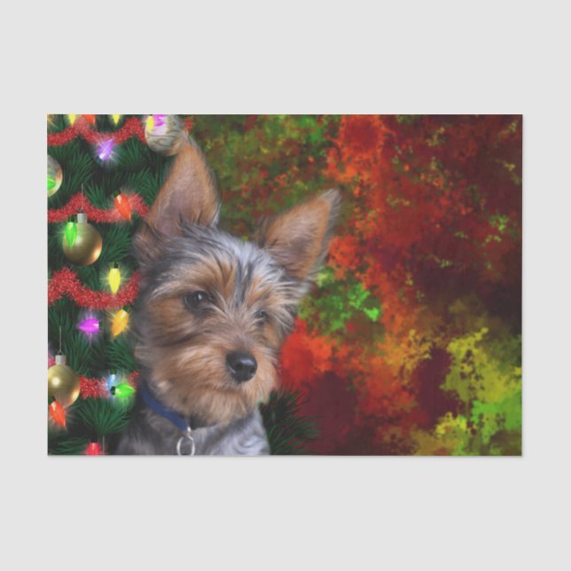 Yorkie Weihnachten Seidenpapier (Vorderseite)