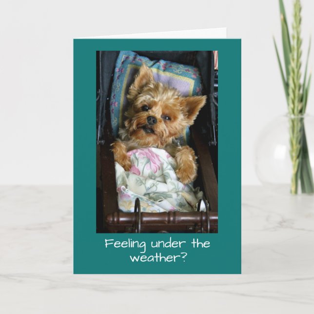Yorkie Welpe im Kinderwagen Karte (Vorderseite)