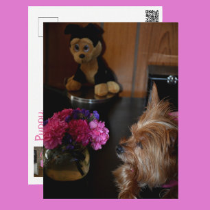 Yorkie-Welpe Liebe Valentinstag Fotografie Postkarte