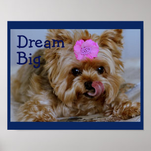Yorkie Welpe mit rosa Blume im Haar Poster