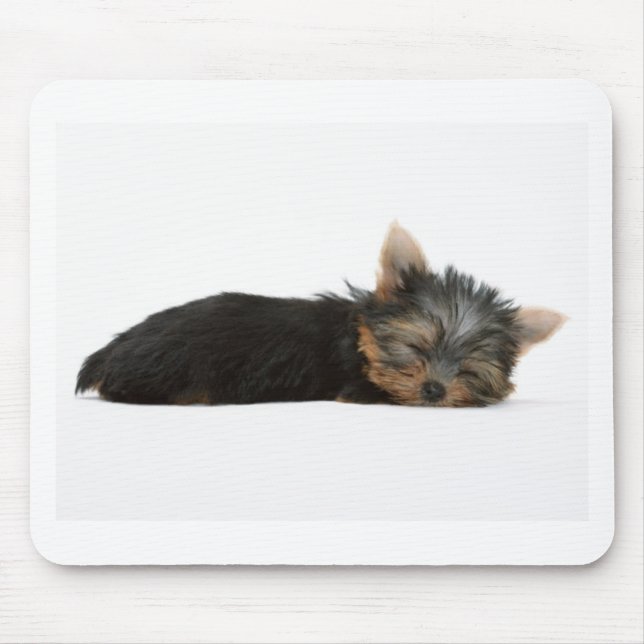 Yorkie Welpen-Schlafen Mousepad (Vorne)