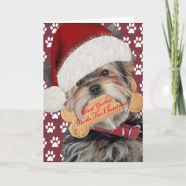 Yorkie will Küsse für Weihnachten