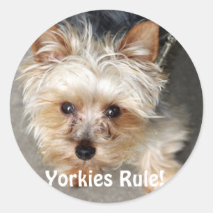 Yorkie, Yorkies Rule! Runder Aufkleber