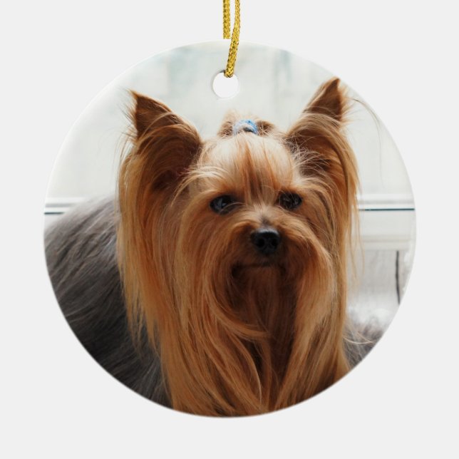 Yorkie Yorkshire Terrier Dog Keramik Ornament (Vorne)