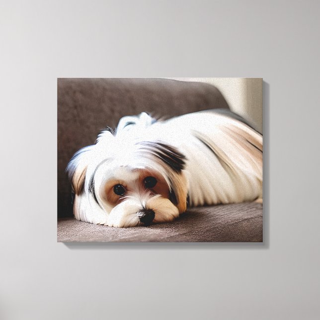 Yorkie, Yorkshire Terrier, Ennui, Leinwanddruck (Vorderseite)