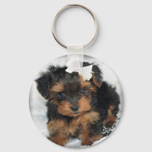 Yorkiepoo Schlüsselanhänger