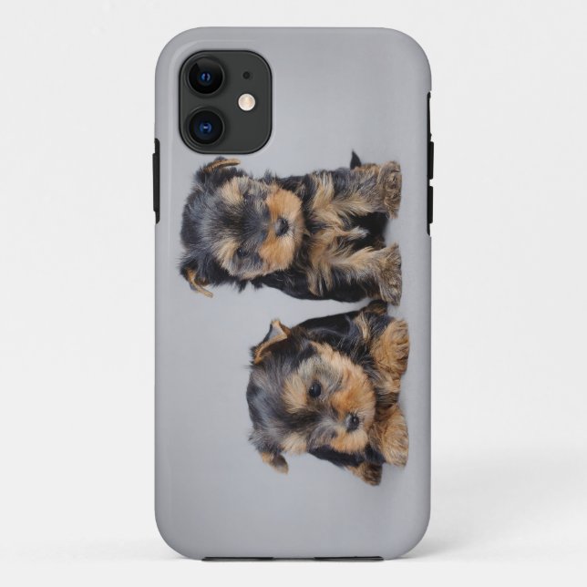 Yorkies Case-Mate iPhone Hülle (Rückseite)