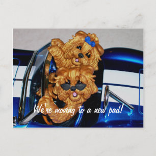 Yorkies~ Nous allons vers un nouveau pad ! Cartes 