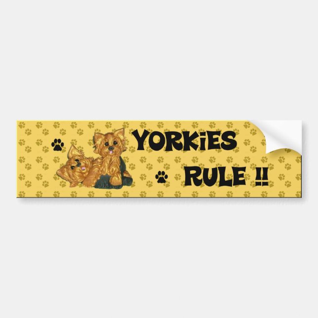 Yorkies Regel!! Autoaufkleber (Vorne)