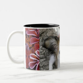 Yorkipokale Zweifarbige Tasse