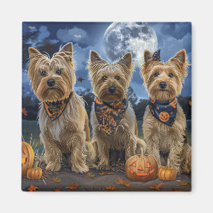Yorkipoo Halloween Gruselig Magnet