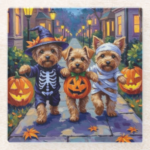 Yorkipoo-Süßigkeiten-Sammeln in Halloween-Kostümen Glasuntersetzer