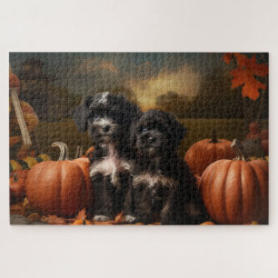 Yorkipoo-Welpe Herbstfreude Kürbis