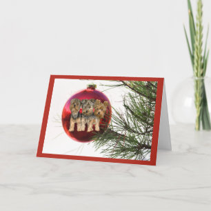 Yorkshir Terrier Weihnachtskarte Ball Hanging Feiertagskarte