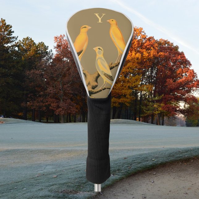  Yorkshire  canary birds - Golf Headcover (Von Creator hochgeladen)