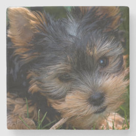 Yorkshire Steinuntersetzer