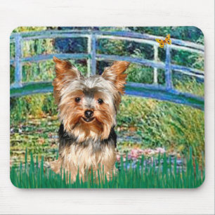 Yorkshire Terrier 17 - Bridge Mousepad
