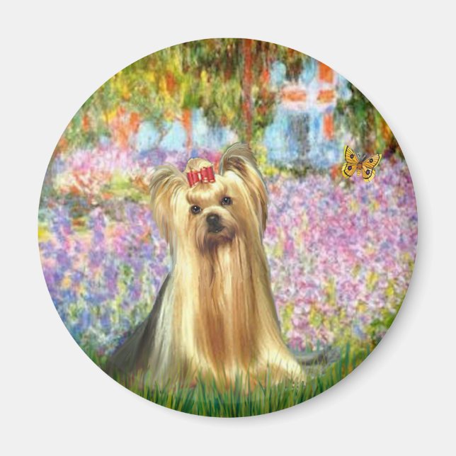 Yorkshire Terrier 1 - Garten Magnet (Vorne)