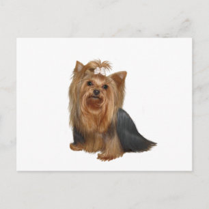 Yorkshire Terrier (7) Postkarte