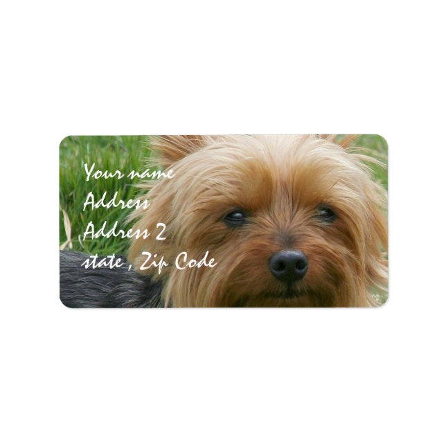 Yorkshire Terrier Adressaufkleber (Vorne)