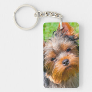 Yorkshire Terrier aufblickend Schlüsselanhänger