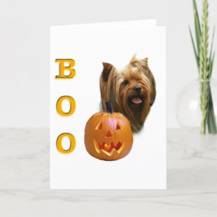 Yorkshire Terrier Boo Karte