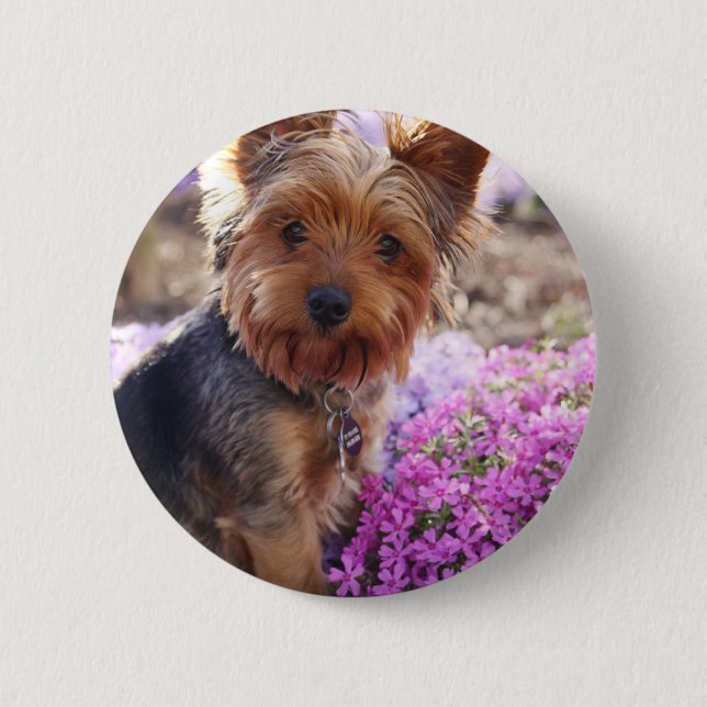 Yorkshire Terrier Button (Vorderseite)
