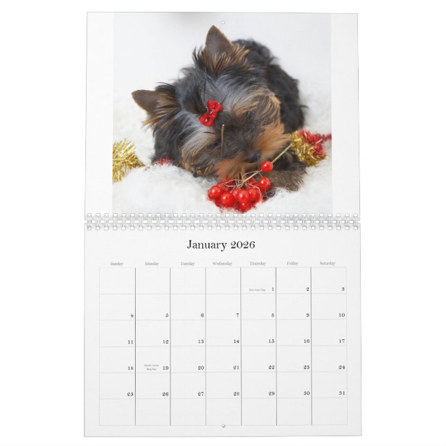Yorkshire Terrier Calendar Kalender (Jan 2026)