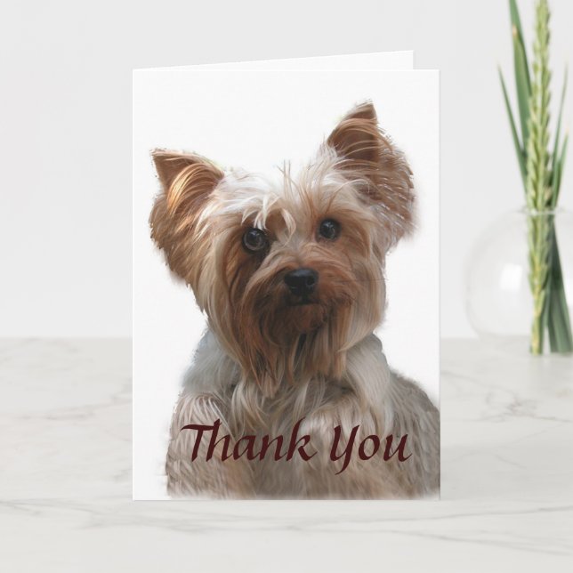 Yorkshire Terrier Carte de remerciements (Devant)