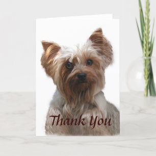 Yorkshire Terrier Carte de remerciements