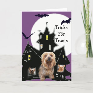 Yorkshire Terrier Carte de voeux Halloween
