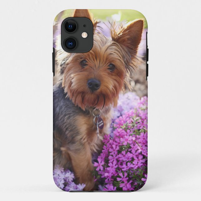 Yorkshire Terrier Carved Wood iPhone Case (Rückseite)