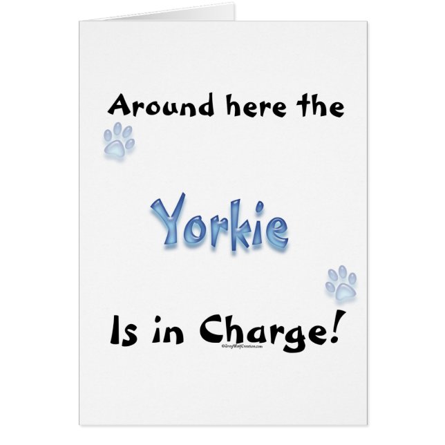 Yorkshire Terrier Charge (Vorne)
