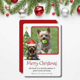 Yorkshire Terrier Christmas Pet Dog One Photo Feiertagskarte