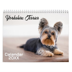 Yorkshire Terrier Dog Calendar 2025 Kalender