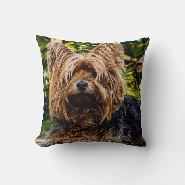 Yorkshire Terrier Dog Kissen (Vorderseite)