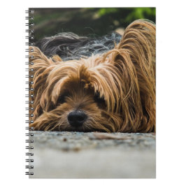 Yorkshire Terrier Dog Notizblock
