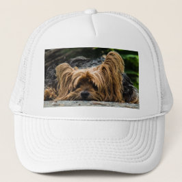 Yorkshire Terrier Dog Truckerkappe