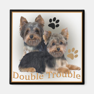 Yorkshire Terrier Double Trouble Geschenke Magnet