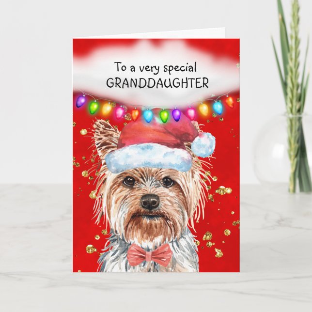 Yorkshire Terrier Enkelin niedliche Weihnachtswüns Karte (Vorderseite)