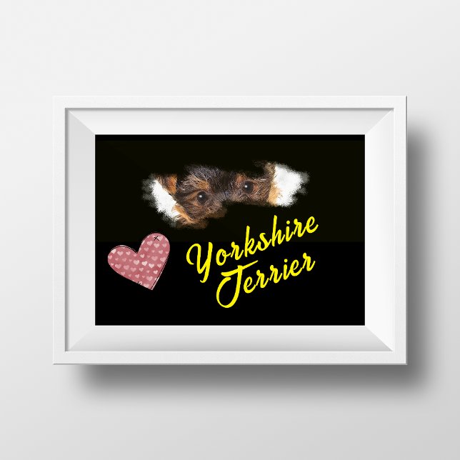 Yorkshire Terrier Eyes Solid Color Poster (Von Creator hochgeladen)