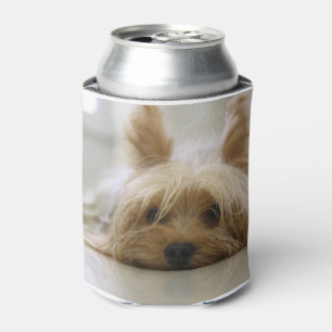 Yorkshire-Terrier flat.png Dosenkühler