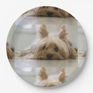 Yorkshire-Terrier flat.png Pappteller