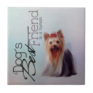 Yorkshire Terrier Fliese