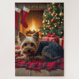 Yorkshire Terrier Gemütlicher Weihnachtsabend Male