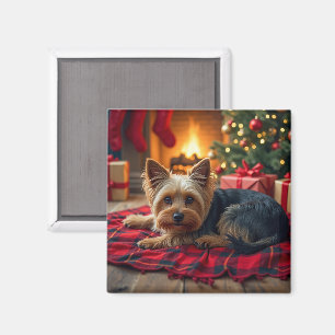 Yorkshire Terrier Gemütlicher Weihnachtsabend Male Magnet
