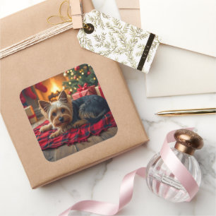 Yorkshire Terrier Gemütlicher Weihnachtsabend Male Quadratischer Aufkleber