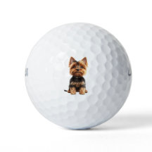 Yorkshire Terrier Golfbälle