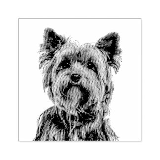 Yorkshire Terrier Gummistempel