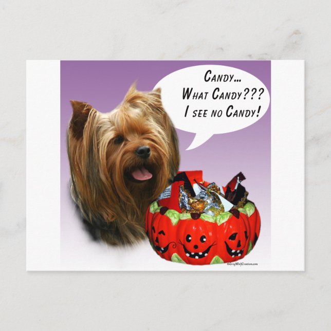 Yorkshire Terrier Halloween Candy Postkarte (Vorderseite)